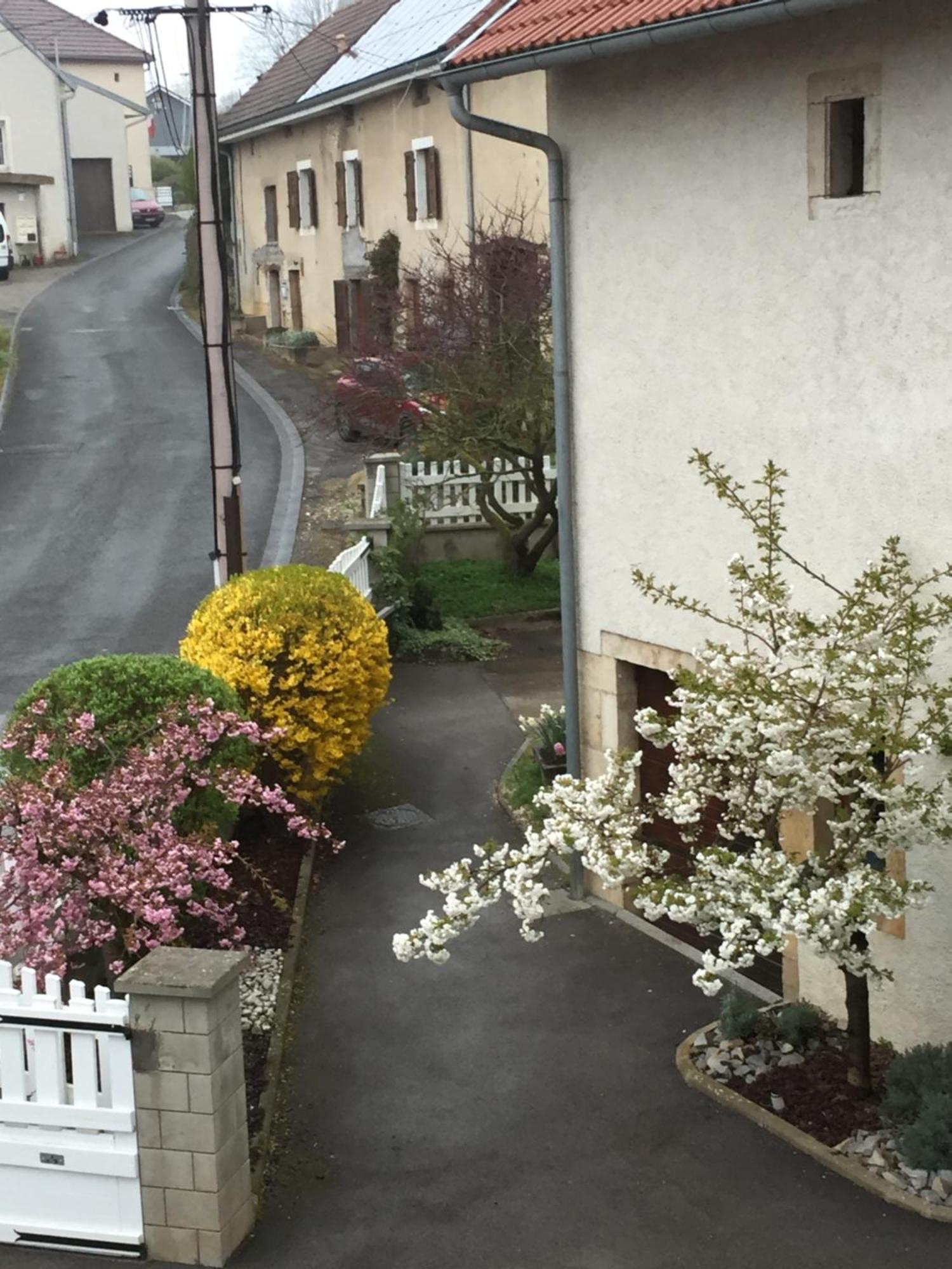 Appartement Ravissant En Bordure Du Doubs Longevelle-sur-Doubs Exterior foto